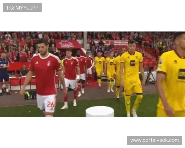 水晶宫球迷讽刺诺丁汉森林主席横幅事件持续发酵,足总介入调查 水晶宫球迷讽刺诺丁汉森林主席横幅事件持续发酵,足总介入调查